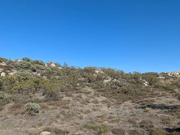 2nd image of LOT 778 Crazy Horse Cyn #778
