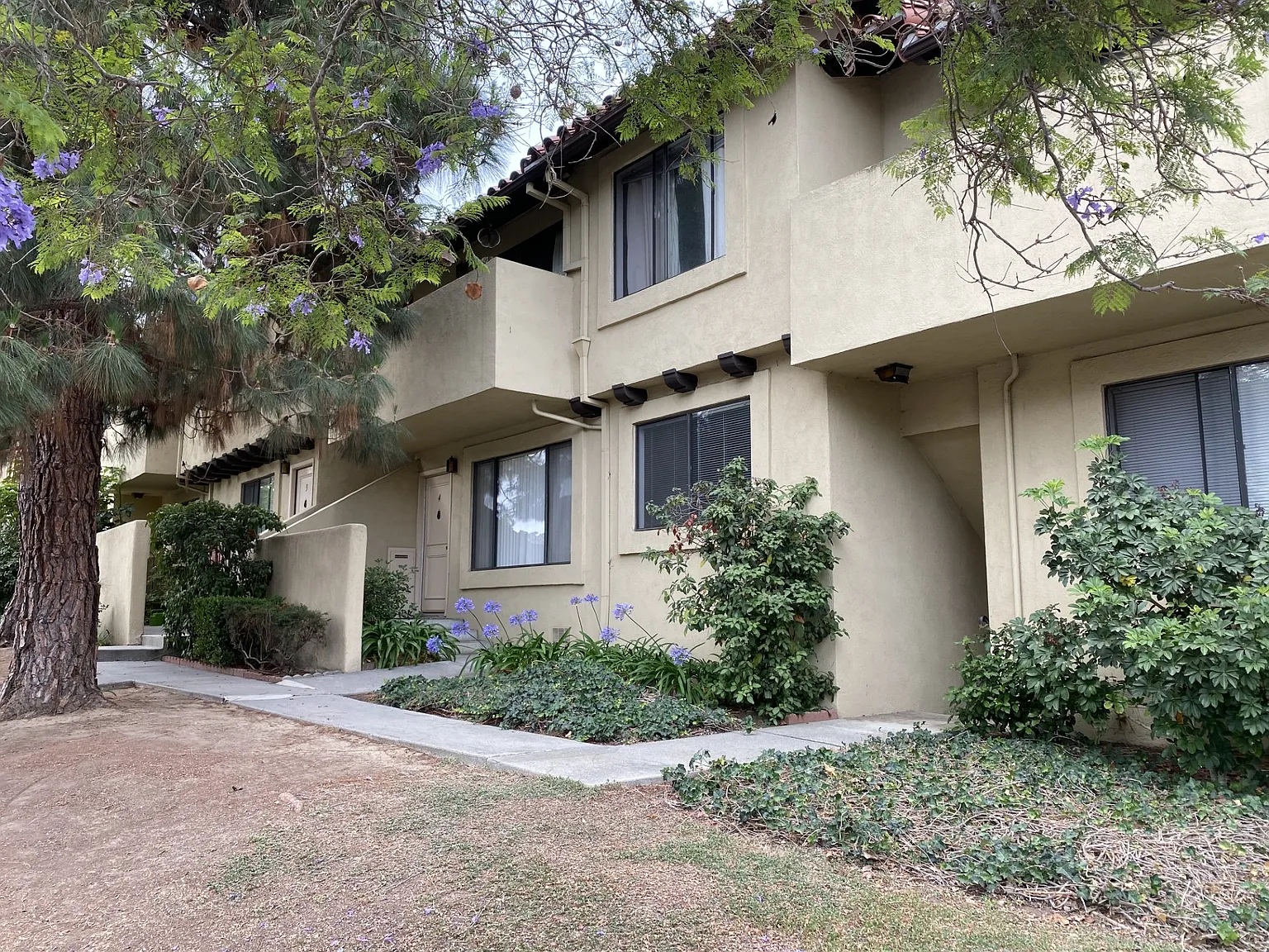 2 bed, 900 sqft, $3,200 — Photo 2