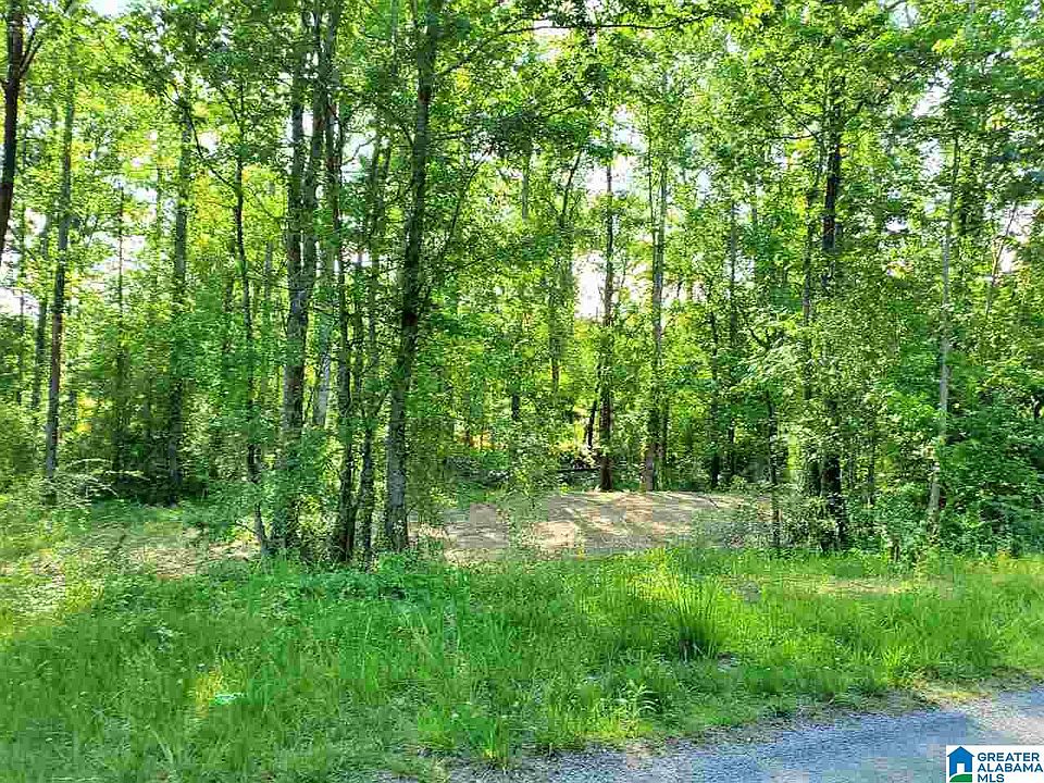 1st image of 5 County Road 260 Lot 5