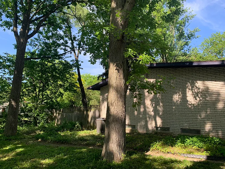 3533 Frederick Dr — Photo 3
