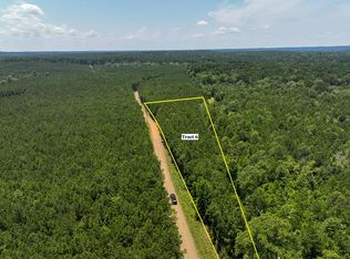 6 Bayou Rd N, Hemphill, TX 75948