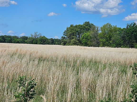 2nd image of 1 County Road 3609