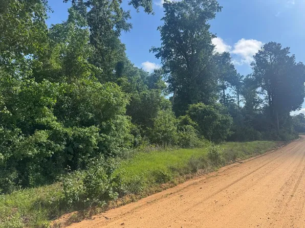19 Moore Meadow Dr, Georgetown, GA 39854