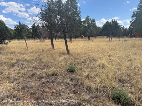 1406 High Mesa Rd, Alto, NM 88312