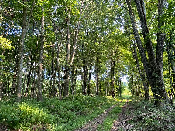 4th image of 296 Porterfield Hill Rd Lot Wp001