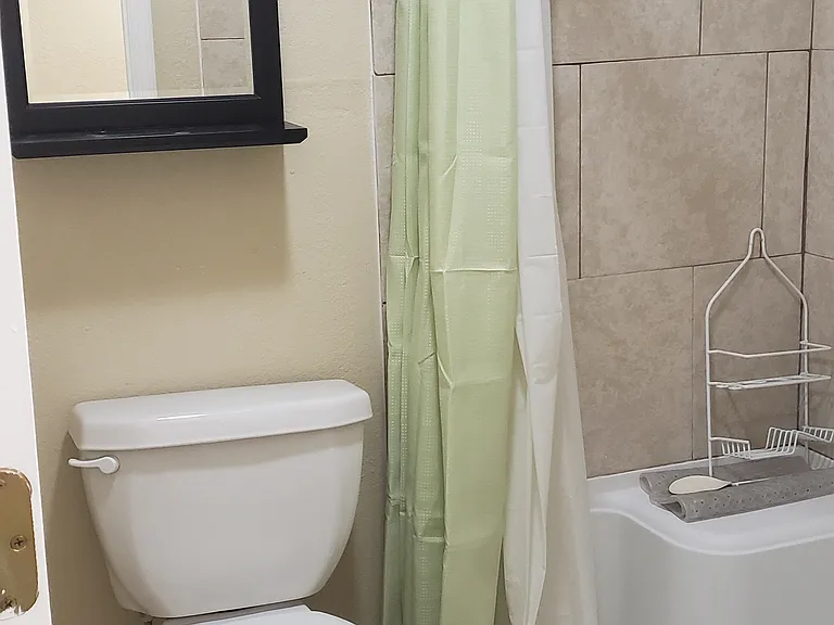 Master bath area