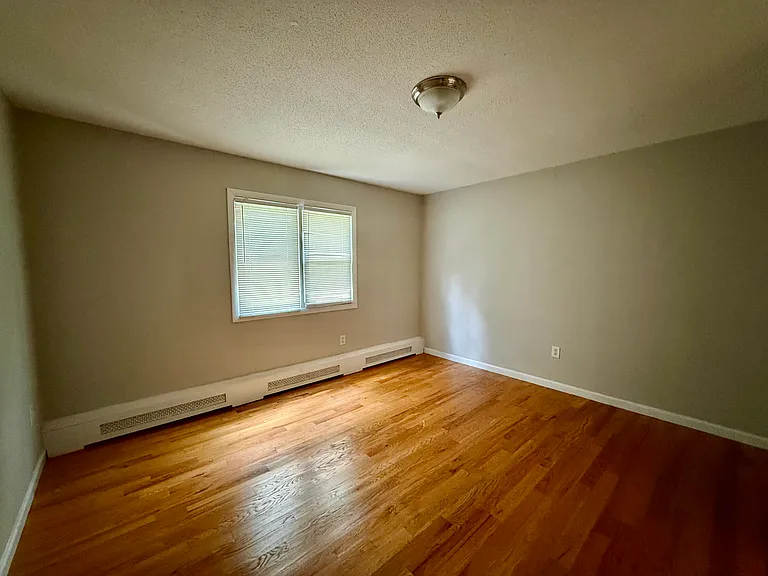 239 Fitch St #2C — Photo 12