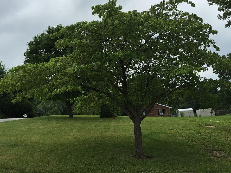 2nd image of 7520 Sieveking Drive