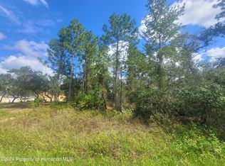 11088 Horned Owl Rd, Weeki Wachee, FL 34614