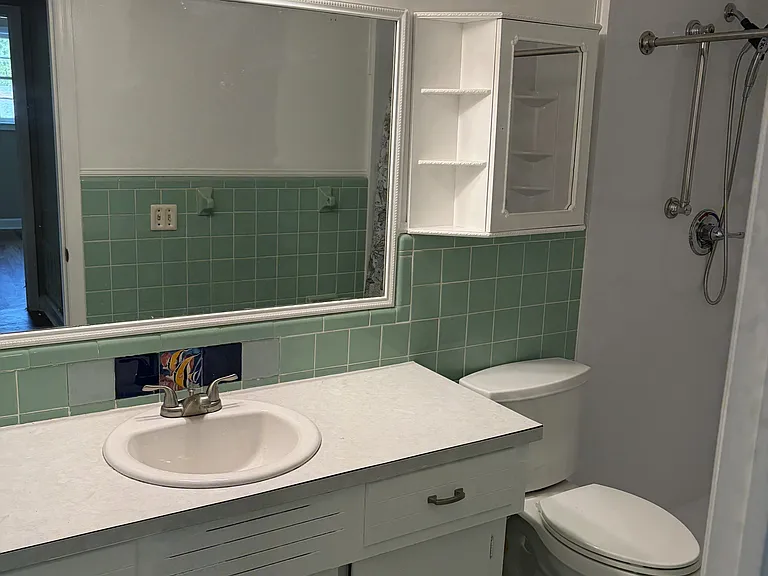 3208 Downes Grove Rd — Photo 24