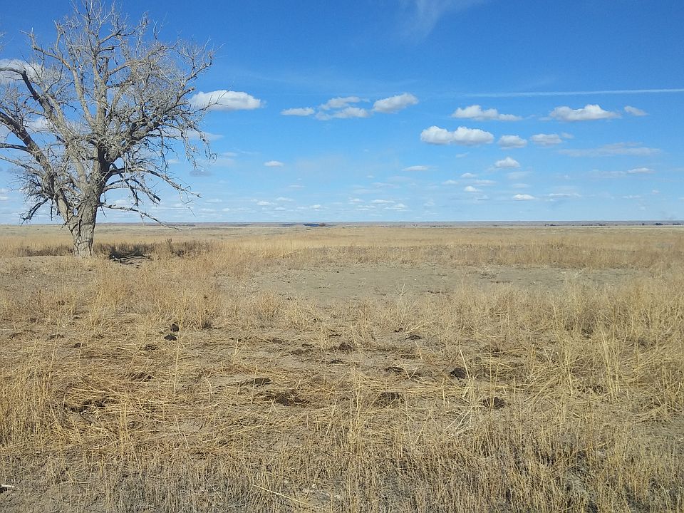 2nd image of 62ND Lane