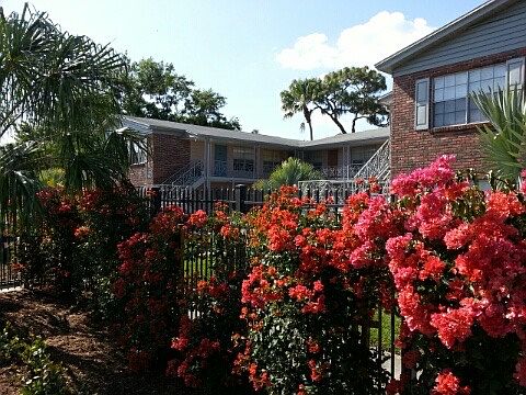 3rd image of 3404 W Marlin Ave #3404M2
