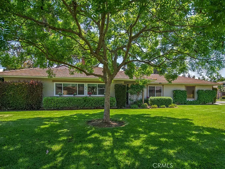 17252 Citron — Photo 58