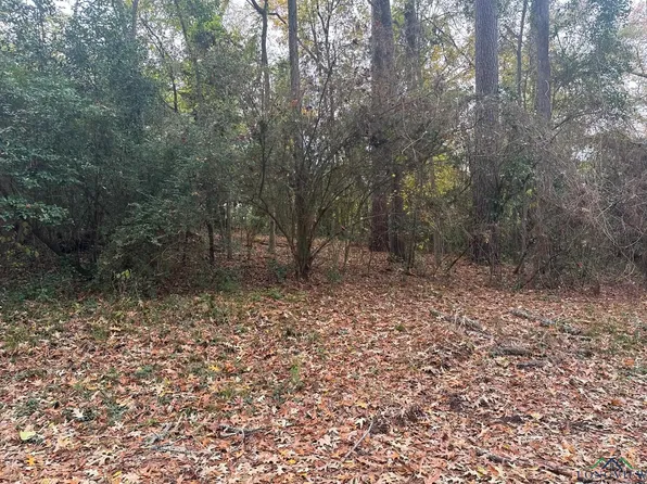 Mockingbird Ln, Kilgore, TX 75662