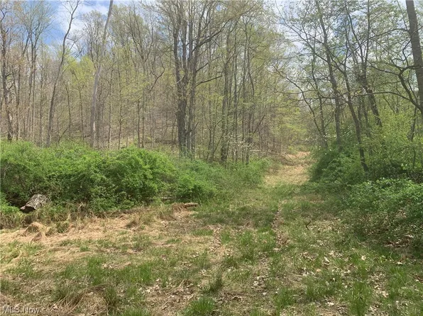 Narrows Rd, Frazeysburg, OH 43822