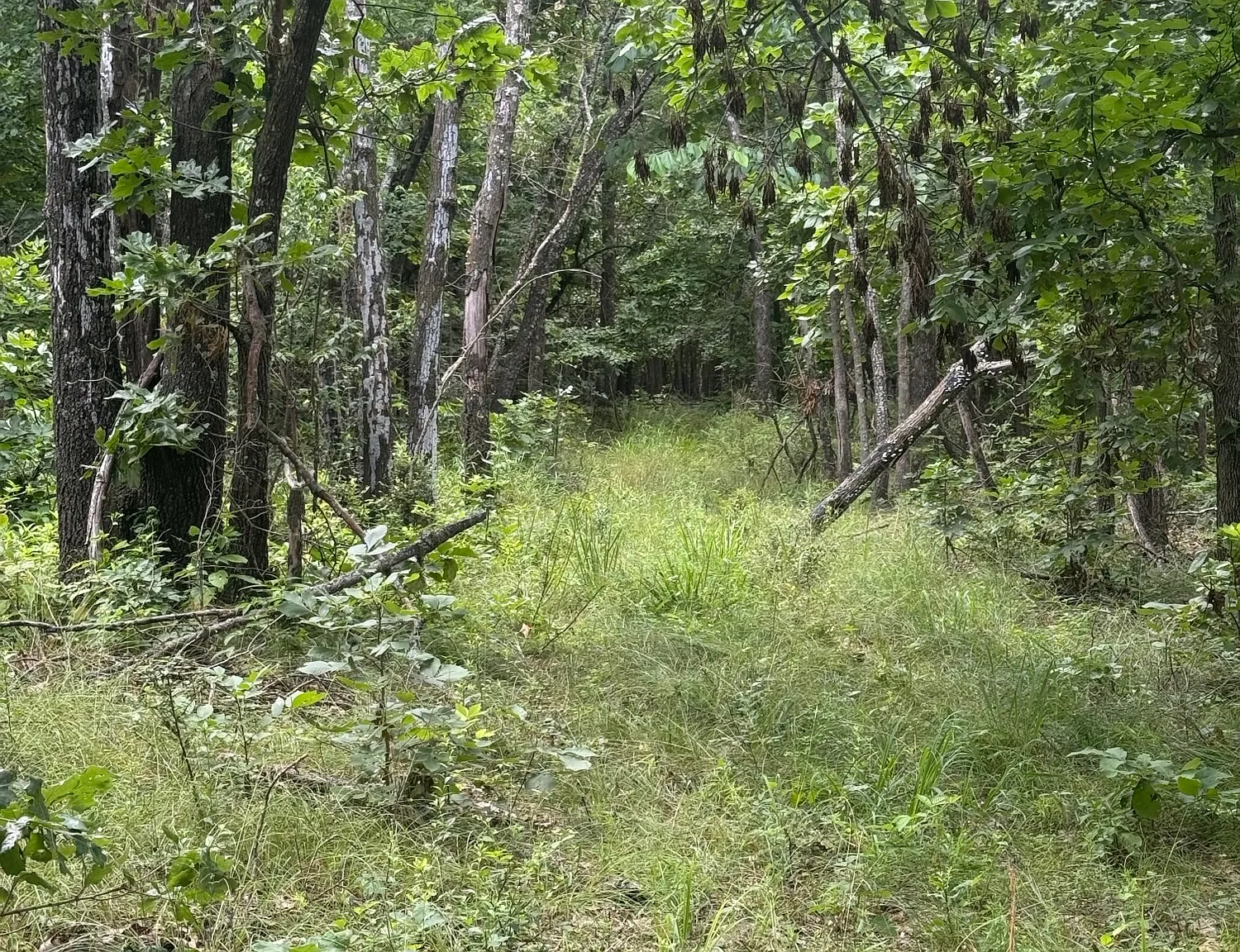 Studio, 100000 sqft, $100 — Photo 3