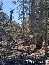 1st image of Tract 2 Costilla Place