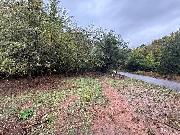4th image of 35 Poplar Ave Lot 35