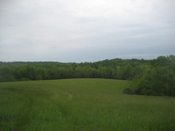 1 Buckler Ln, Olive Hill, KY 41164