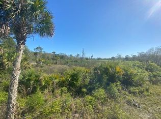 260 SW 902nd St, Steinhatchee, FL 32359