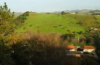 3rd image of 3628 Warner Dr