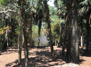 703 Sandpiper Rdg, Edisto Island, SC 29438