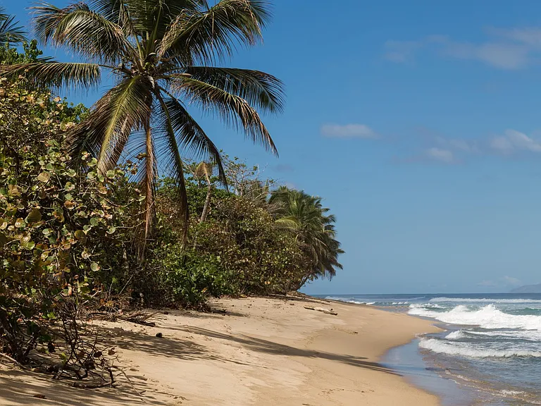 D15 Punta Del Mar Beach Village Carretera 115 Km #D15 — Photo 7