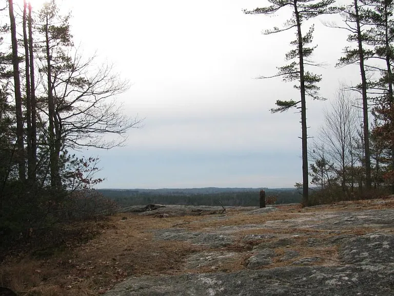 Diamond Dr — Photo 15