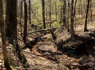 0 State Highway 100 LOT 0, Franklin, GA 30217