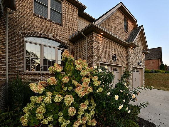 2nd image of 2504 Pascoli Pl