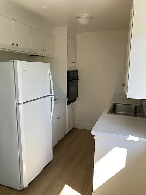 1 bed, 487 sqft, $2,000 — Photo 3
