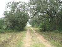 1st image of 1523 Flatonia Airfield Ln