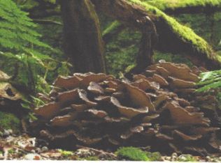 4411 W Cantrell St, Decatur, IL 62522