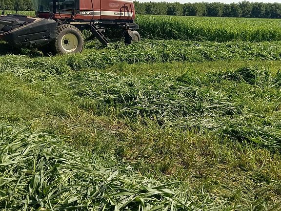 4th image of 844 Fabens Island Rd