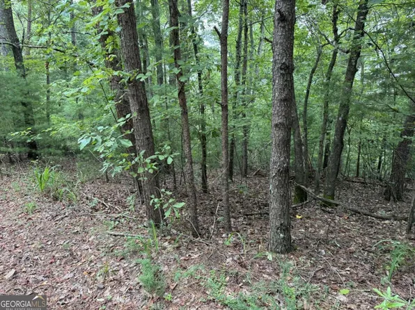 0 Shade Tree Dr, Talking Rock, GA 30175