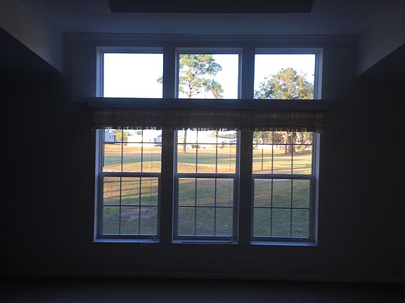 Scenic living room window