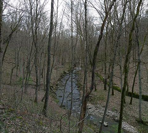 2nd image of 901 Tracy Ln