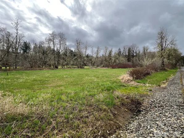 0 Bunker Hill Road, Adna, WA 98522