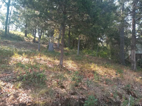 32 33 County Rd #1420, Quitman, TX 75783