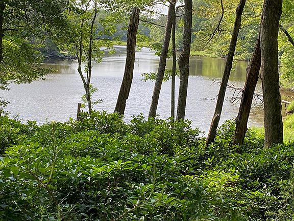 2nd image of 000 Cove Woods