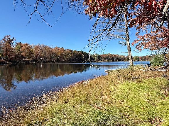5th image of 9832 Bolger Lake Rd