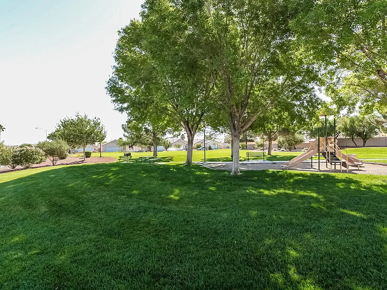 5536 La Pelusa St — Photo 25
