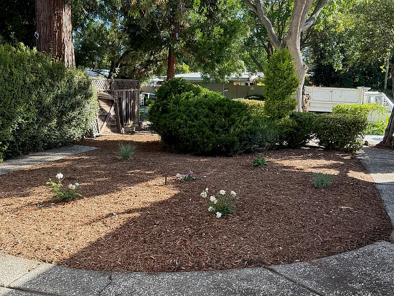3630 Lupine Ave — Photo 29