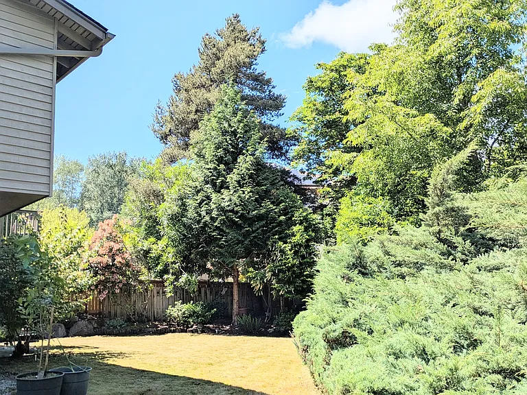 Private, hedged and flat backyard