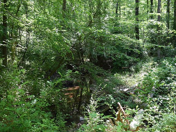 5th image of Floyd Blackwell Rd