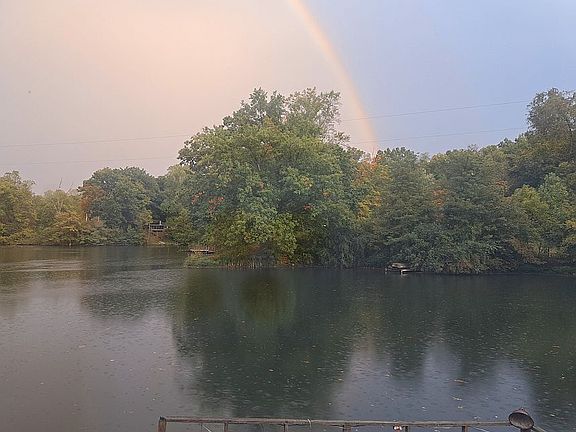 View from Master Bedroom