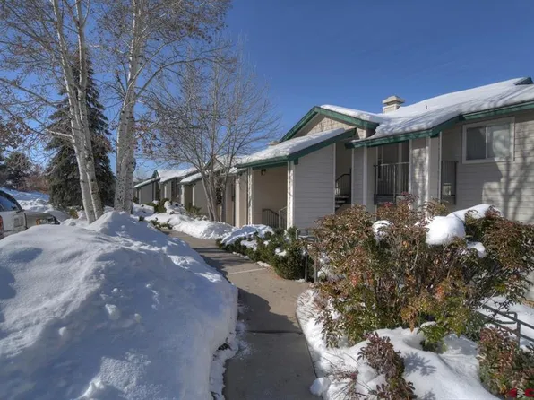 1100 Goeglein Gulch Road #243, Durango, CO 81301