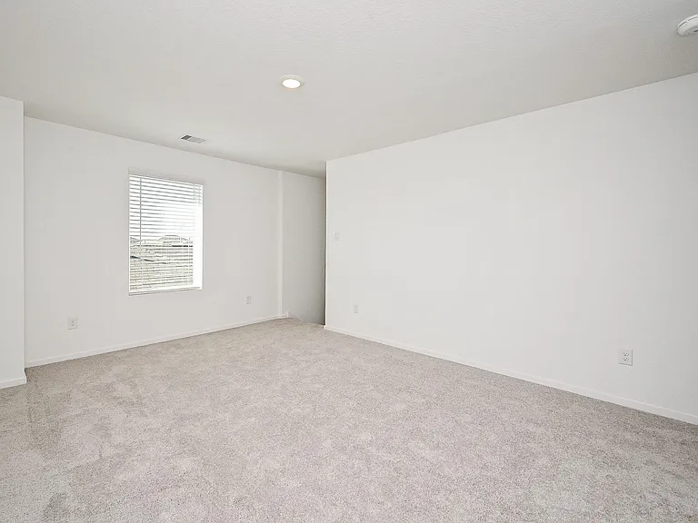 6818 Flowering Ginger Ln — Photo 29