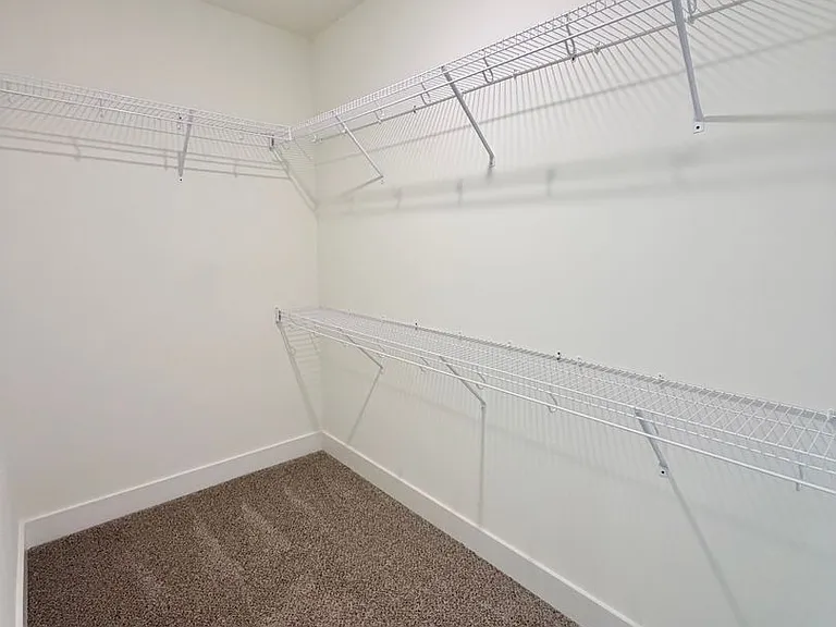 517 Bristleleaf Path — Photo 13