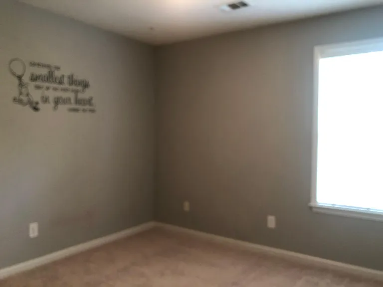 11800 Carriage Park Ln — Photo 11